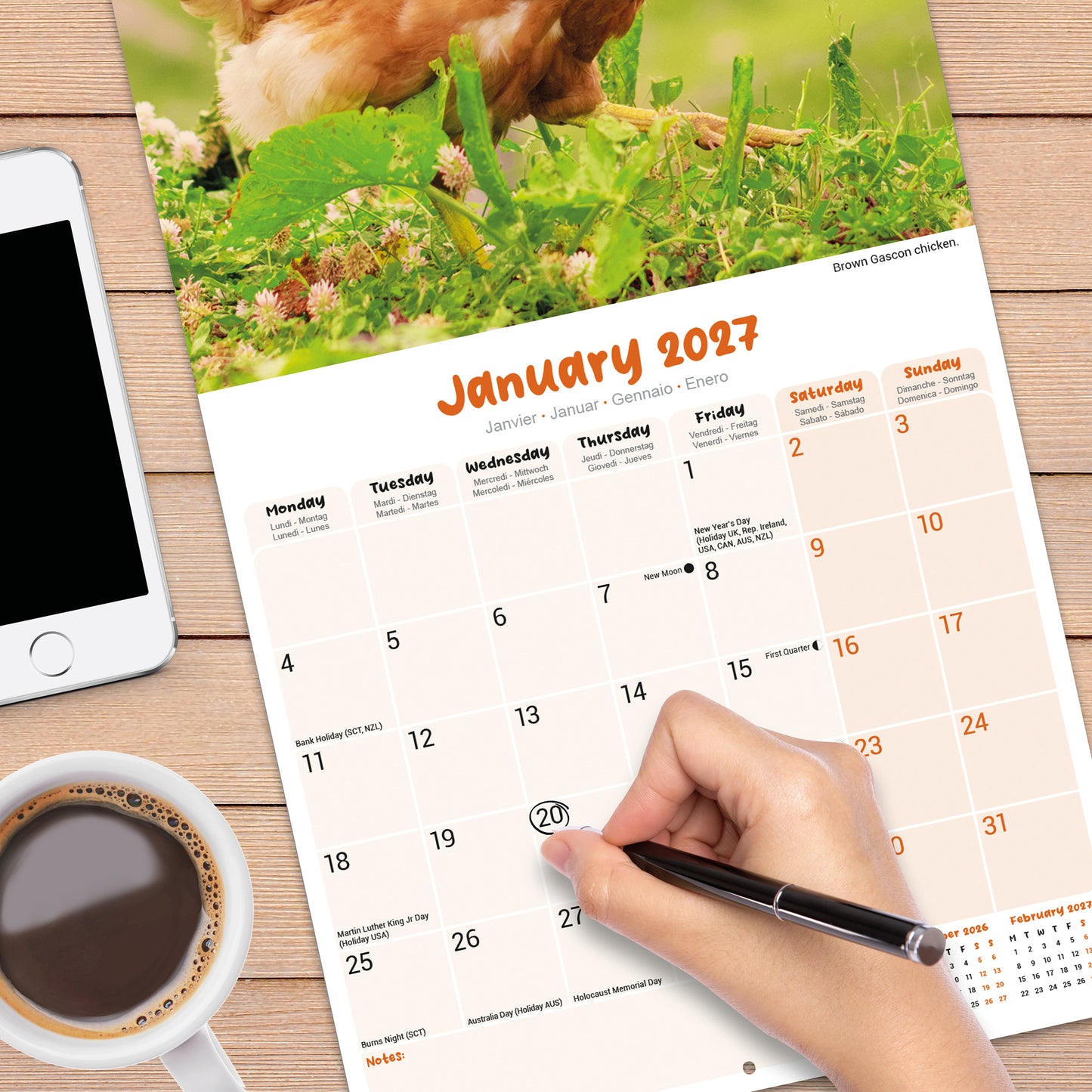 Chickens Wall Calendar 2027