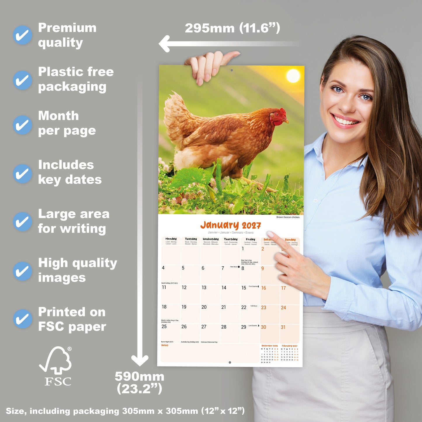 Chickens Wall Calendar 2027
