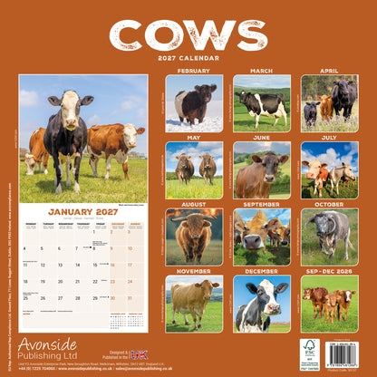 Cows Wall Calendar 2027
