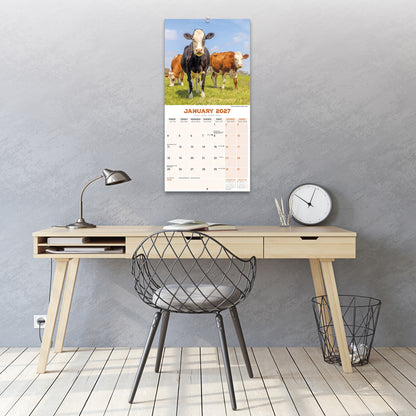 Cows Wall Calendar 2027