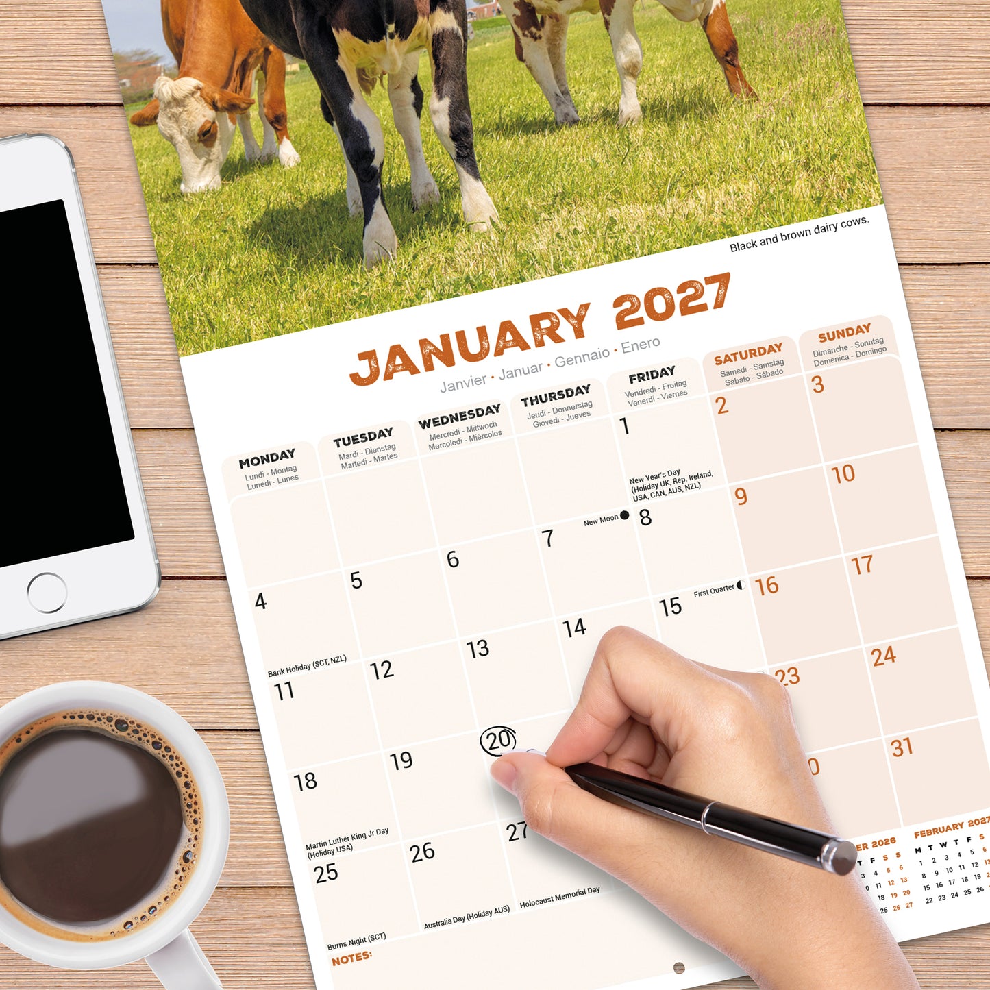 Cows Wall Calendar 2027