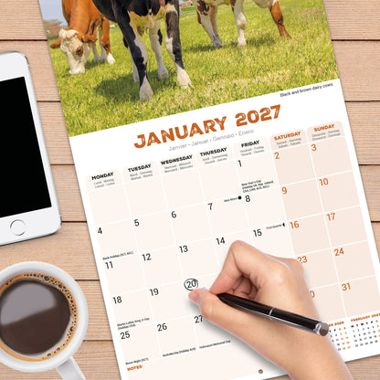 Cows Wall Calendar 2027