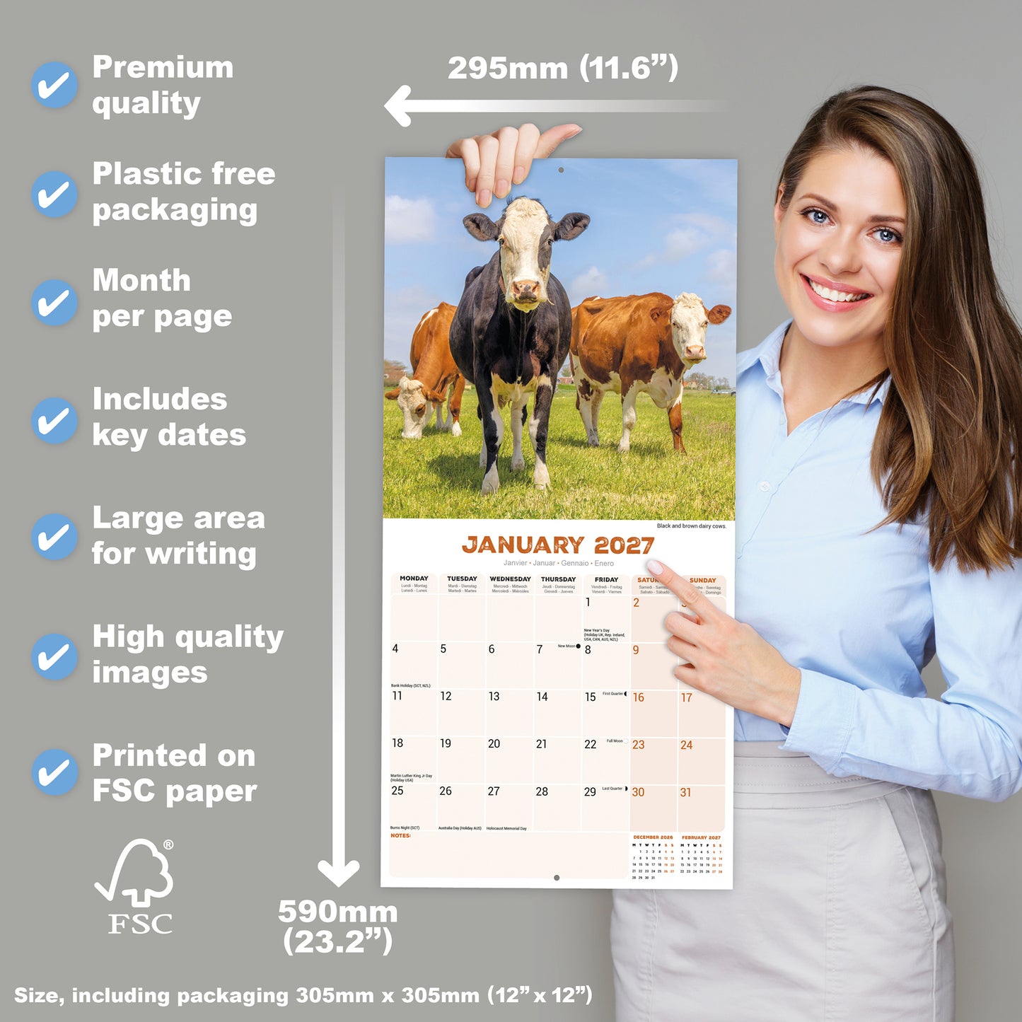 Cows Wall Calendar 2027