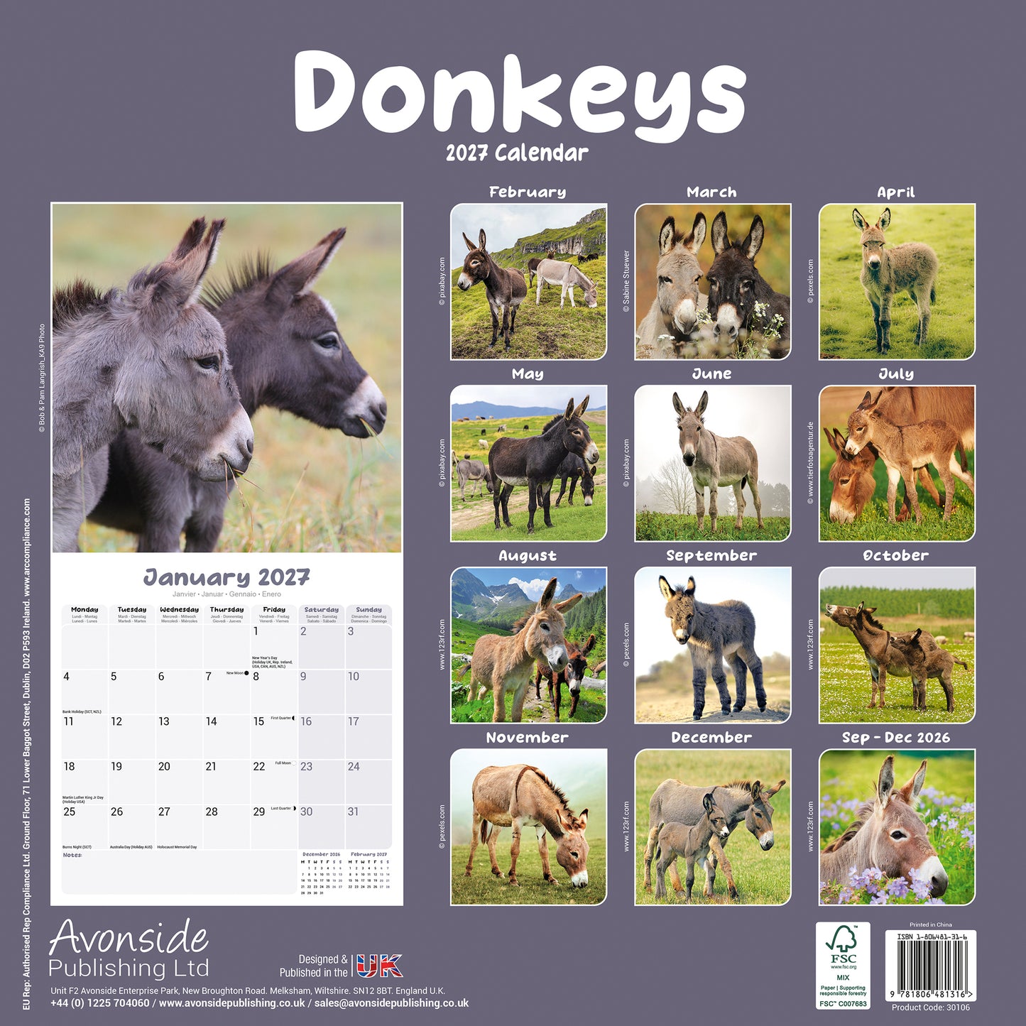 Donkeys Wall Calendar 2027