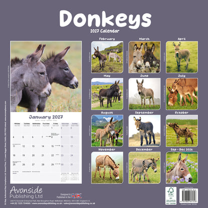Donkeys Wall Calendar 2027