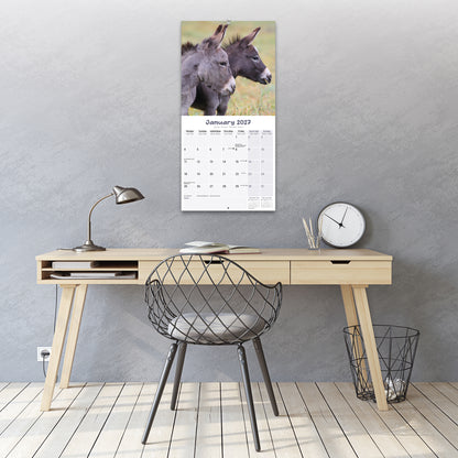 Donkeys Wall Calendar 2027