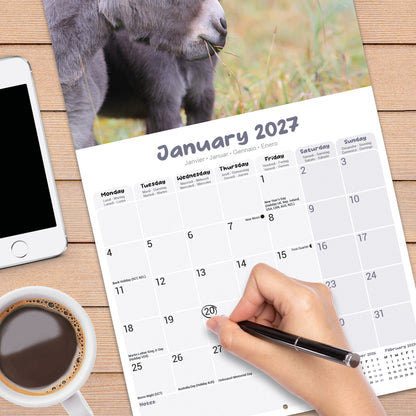 Donkeys Wall Calendar 2027