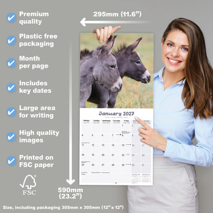 Donkeys Wall Calendar 2027