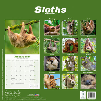 Sloths Wall Calendar 2027