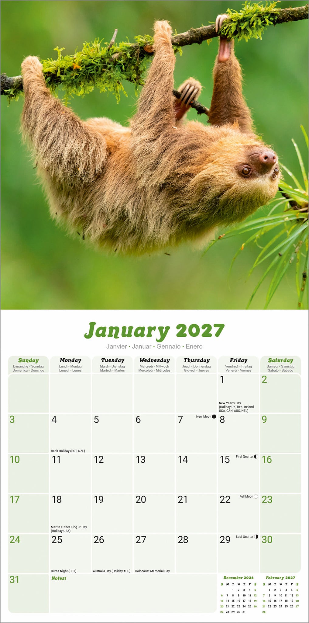 Sloths Wall Calendar 2027