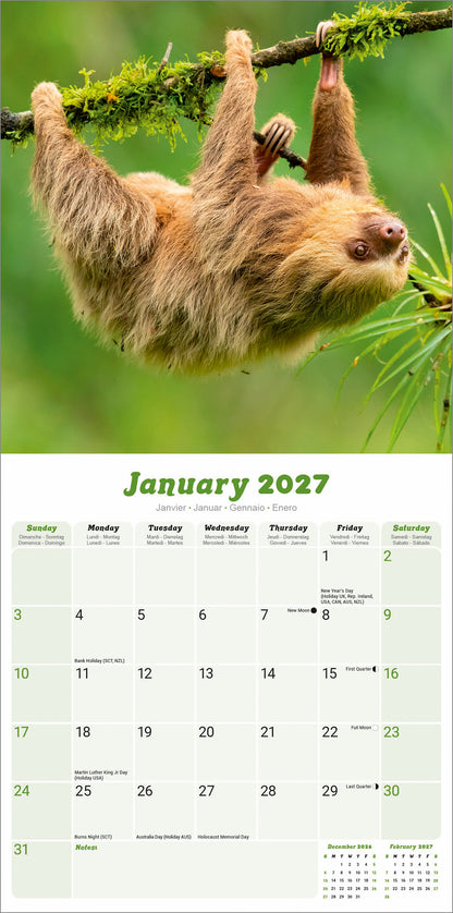 Sloths Wall Calendar 2027