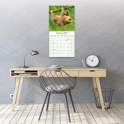 Sloths Wall Calendar 2027