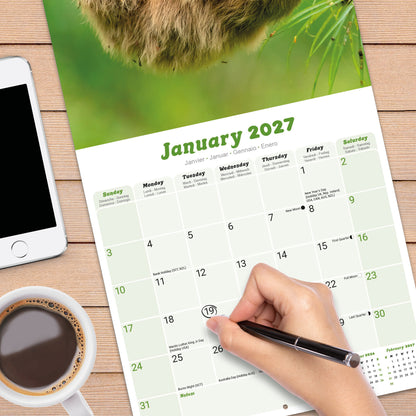 Sloths Wall Calendar 2027