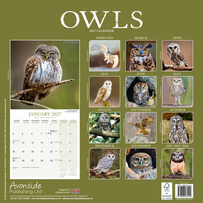 Owls Wall Calendar 2027