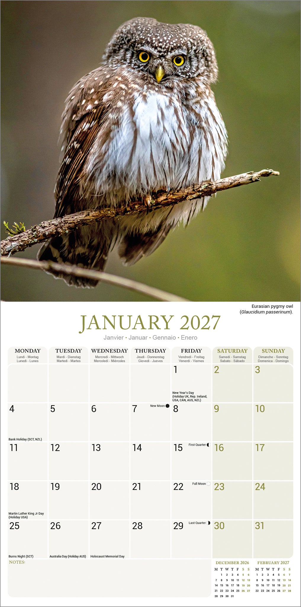 Owls Wall Calendar 2027
