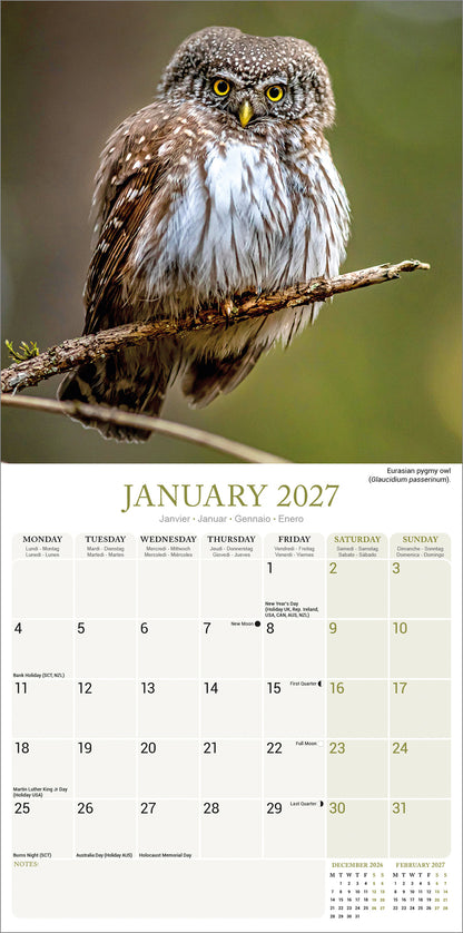 Owls Wall Calendar 2027