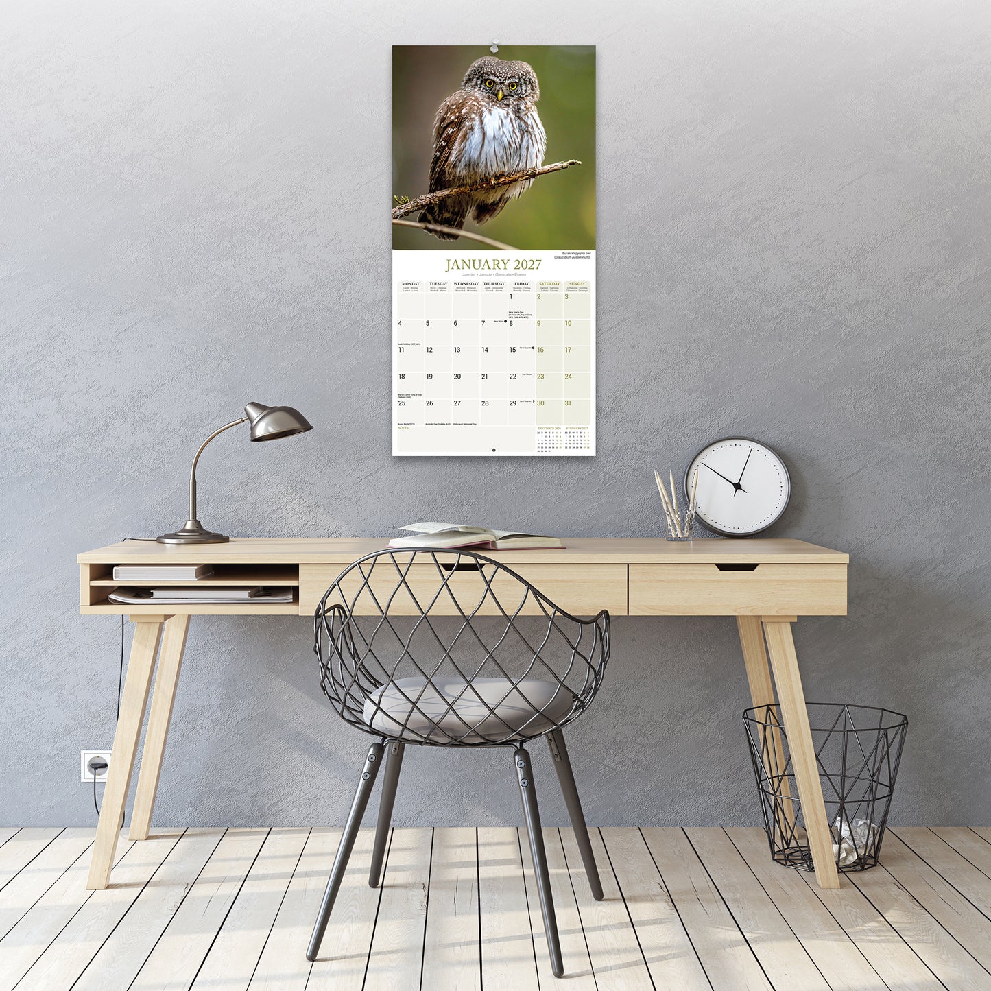 Owls Wall Calendar 2027