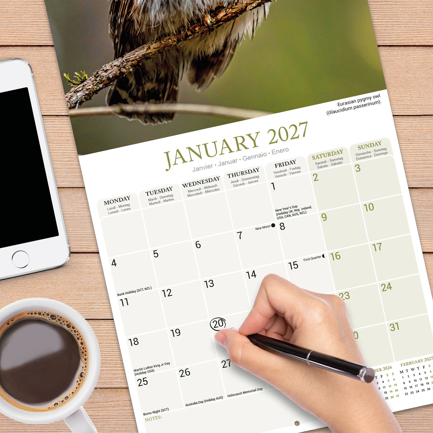 Owls Wall Calendar 2027