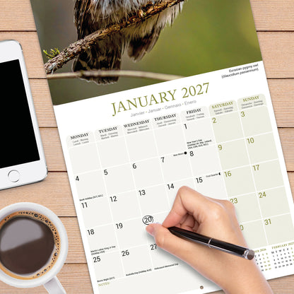 Owls Wall Calendar 2027