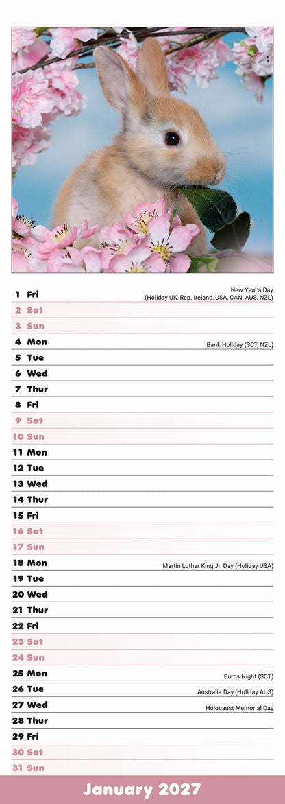 Rabbits Slim Calendar 2027