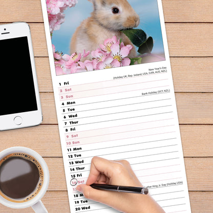 Rabbits Slim Calendar 2027