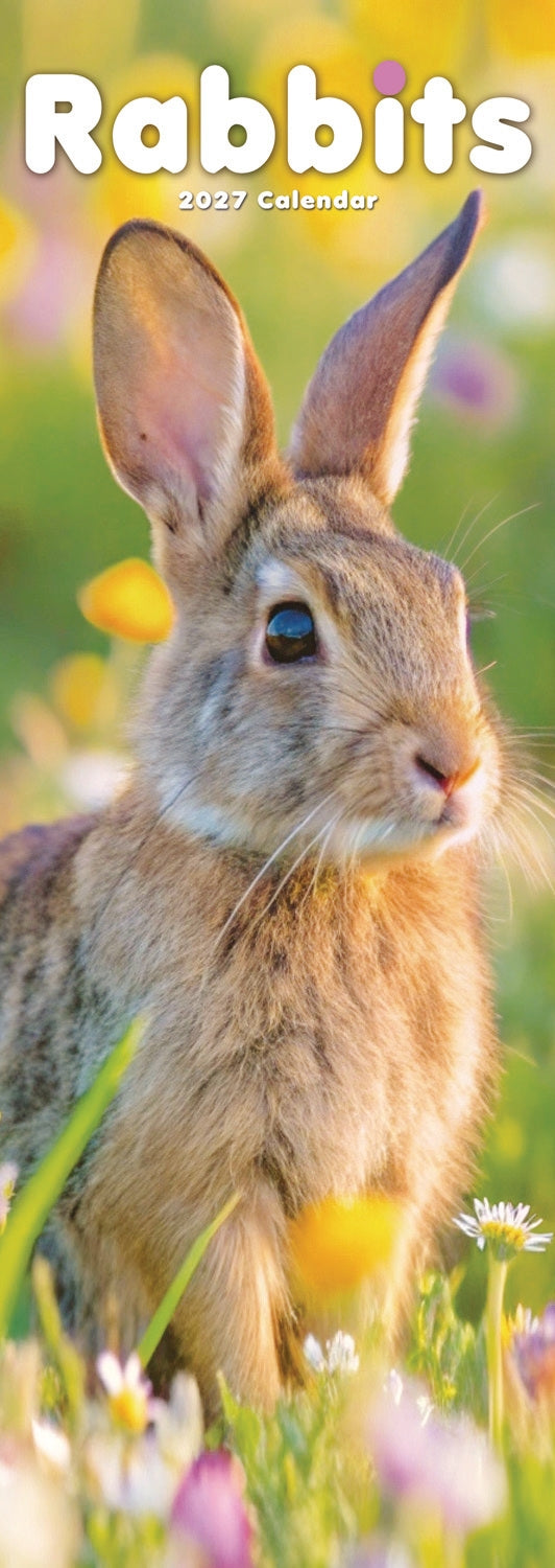 Rabbits Slim Calendar 2027 – Otter House