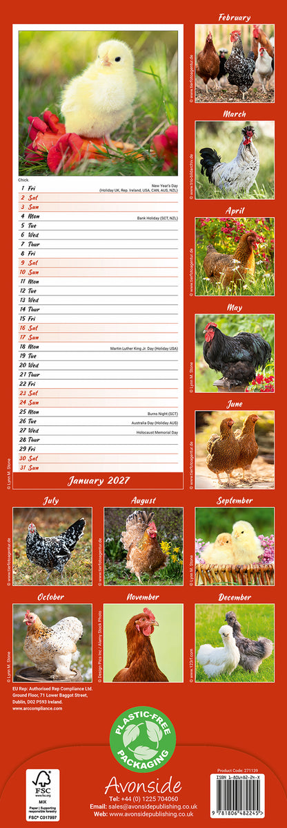 Chickens Slim Calendar 2027