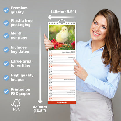 Chickens Slim Calendar 2027