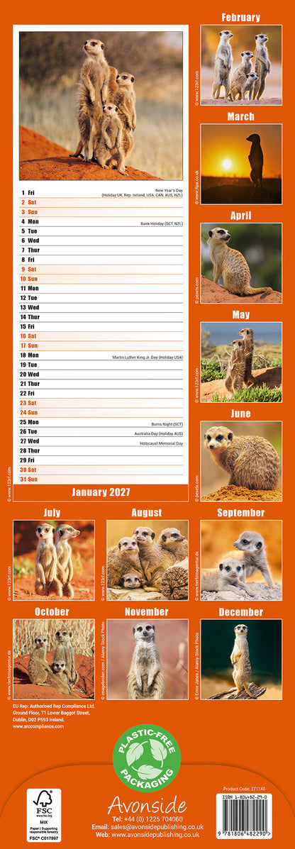 Meerkats Slim Calendar 2027