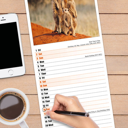 Meerkats Slim Calendar 2027