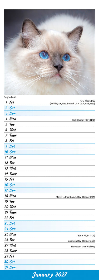 Cats Slim Calendar 2027