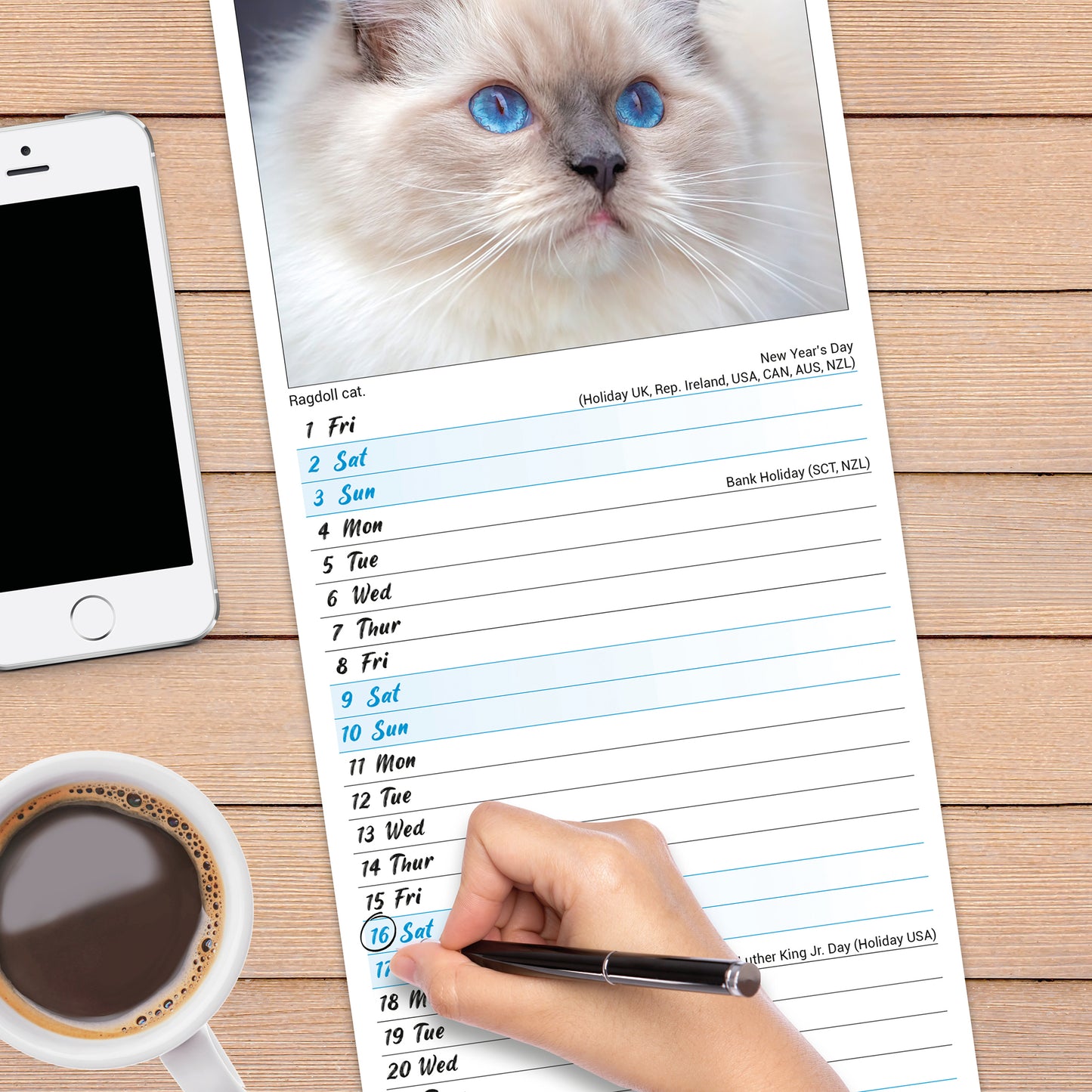 Cats Slim Calendar 2027