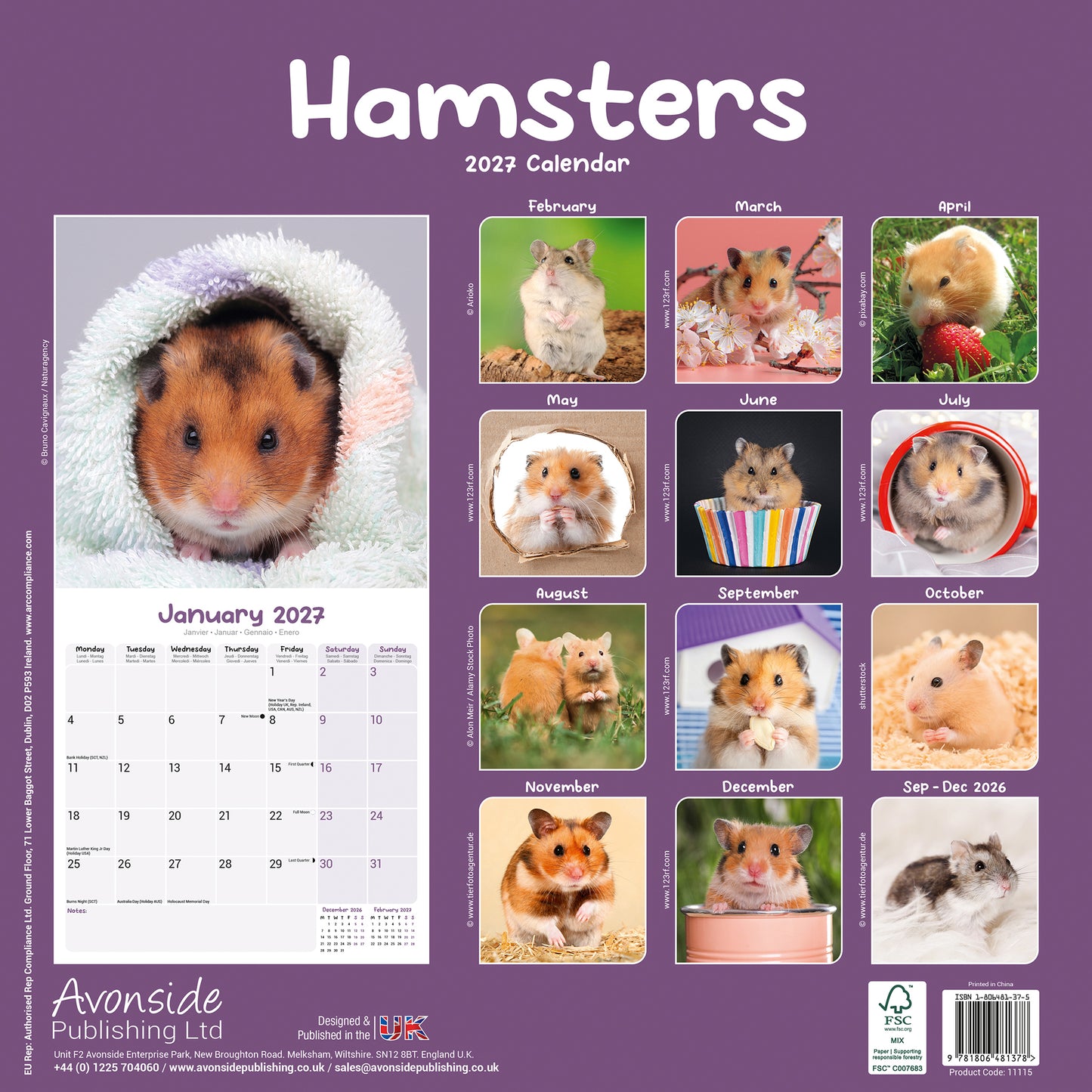 Hamsters Wall Calendar 2027