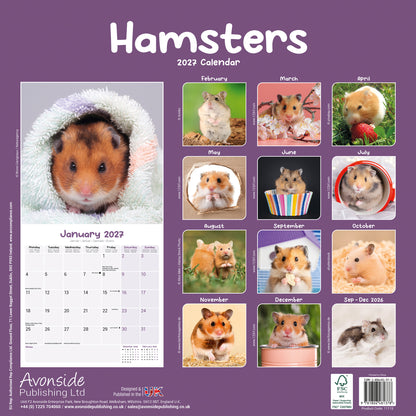 Hamsters Wall Calendar 2027