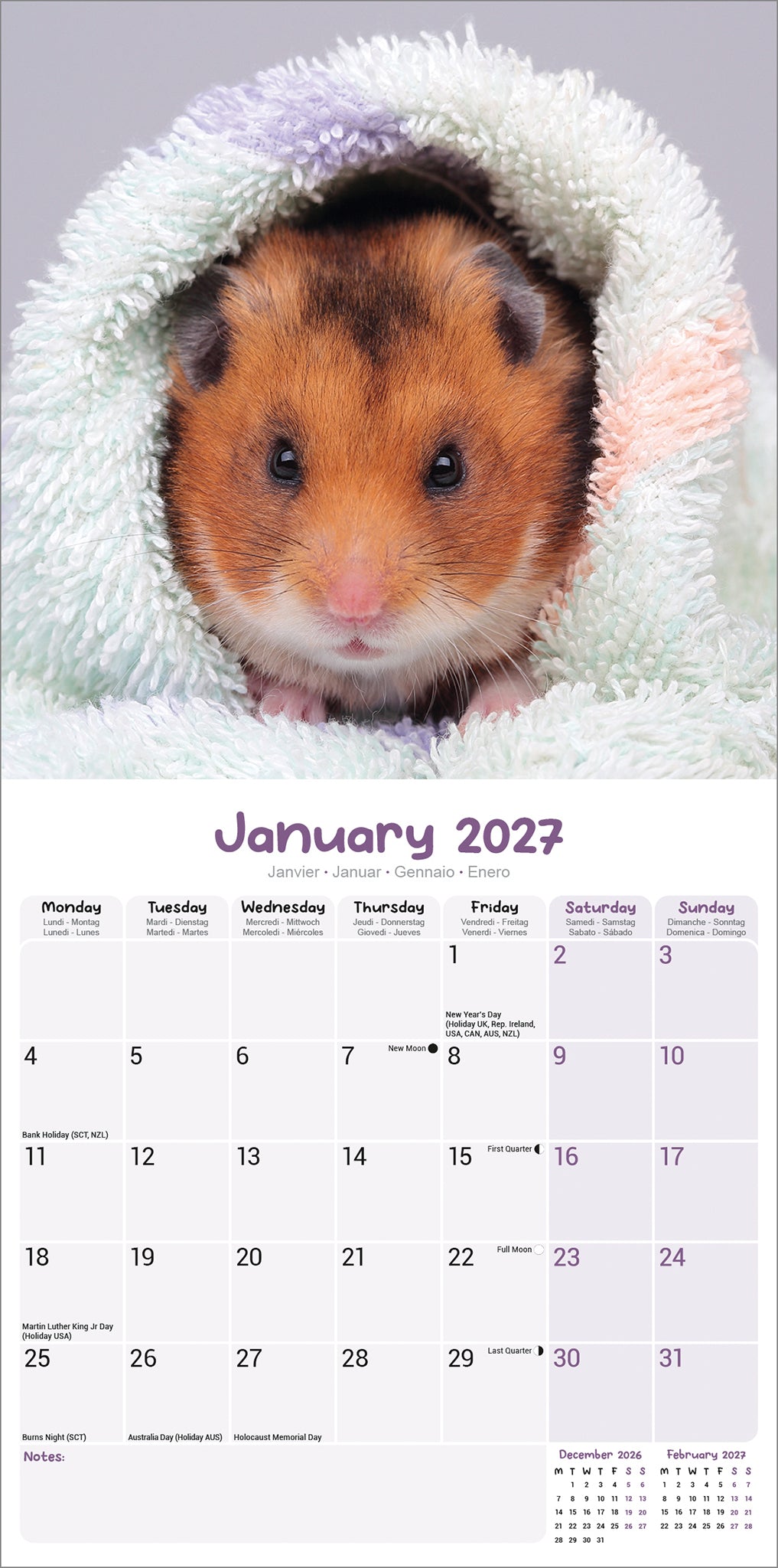 Hamsters Wall Calendar 2027