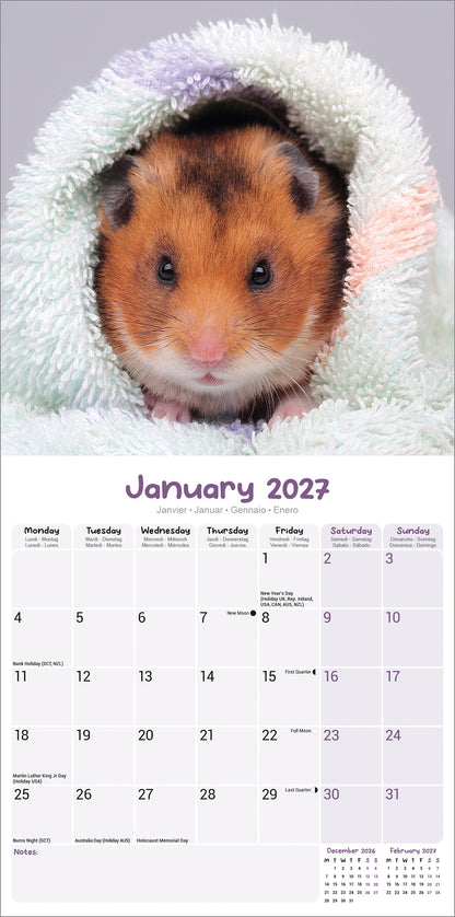 Hamsters Wall Calendar 2027