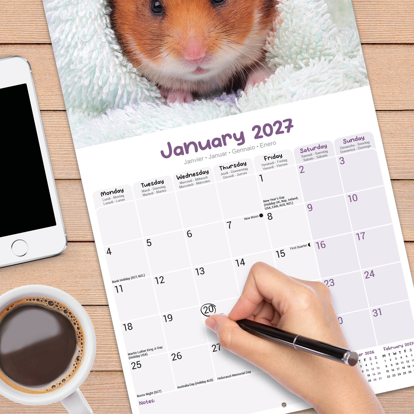 Hamsters Wall Calendar 2027