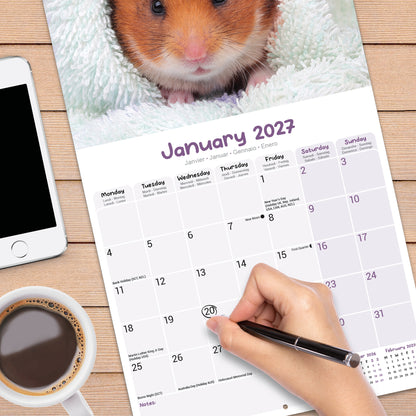 Hamsters Wall Calendar 2027