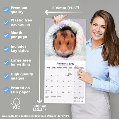 Hamsters Wall Calendar 2027
