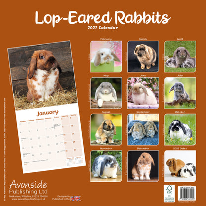 Lop eared Rabbits Wall Calendar 2027