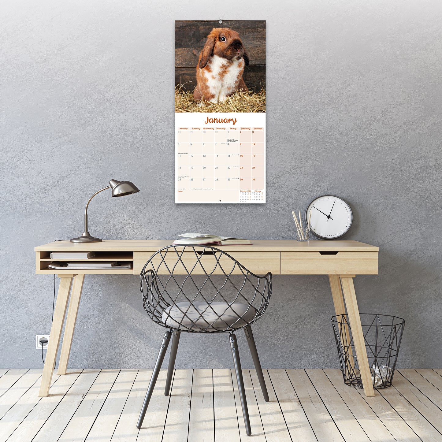Lop eared Rabbits Wall Calendar 2027
