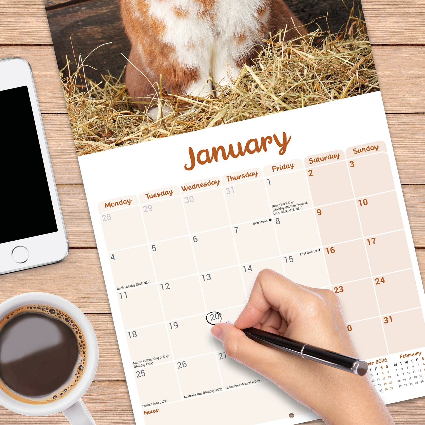 Lop eared Rabbits Wall Calendar 2027