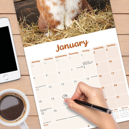 Lop eared Rabbits Wall Calendar 2027