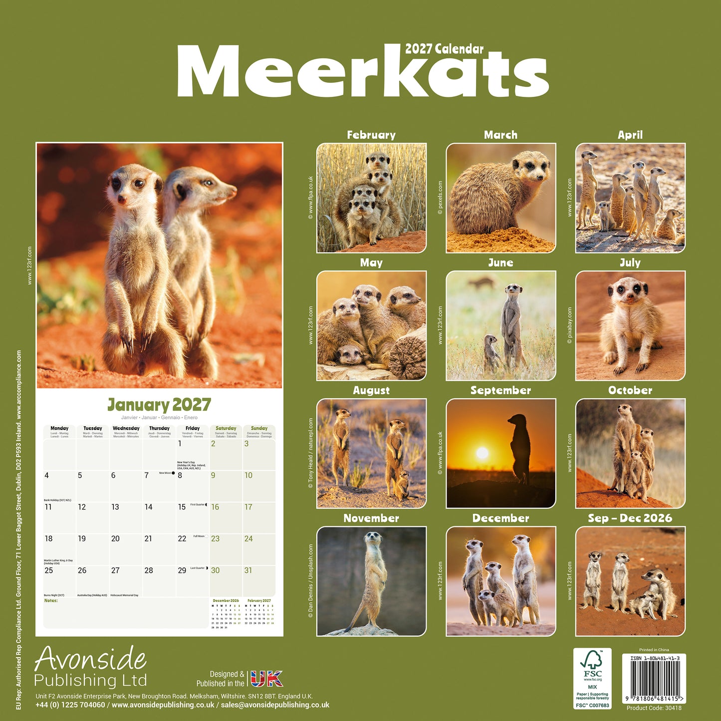 Meerkats Wall Calendar 2027