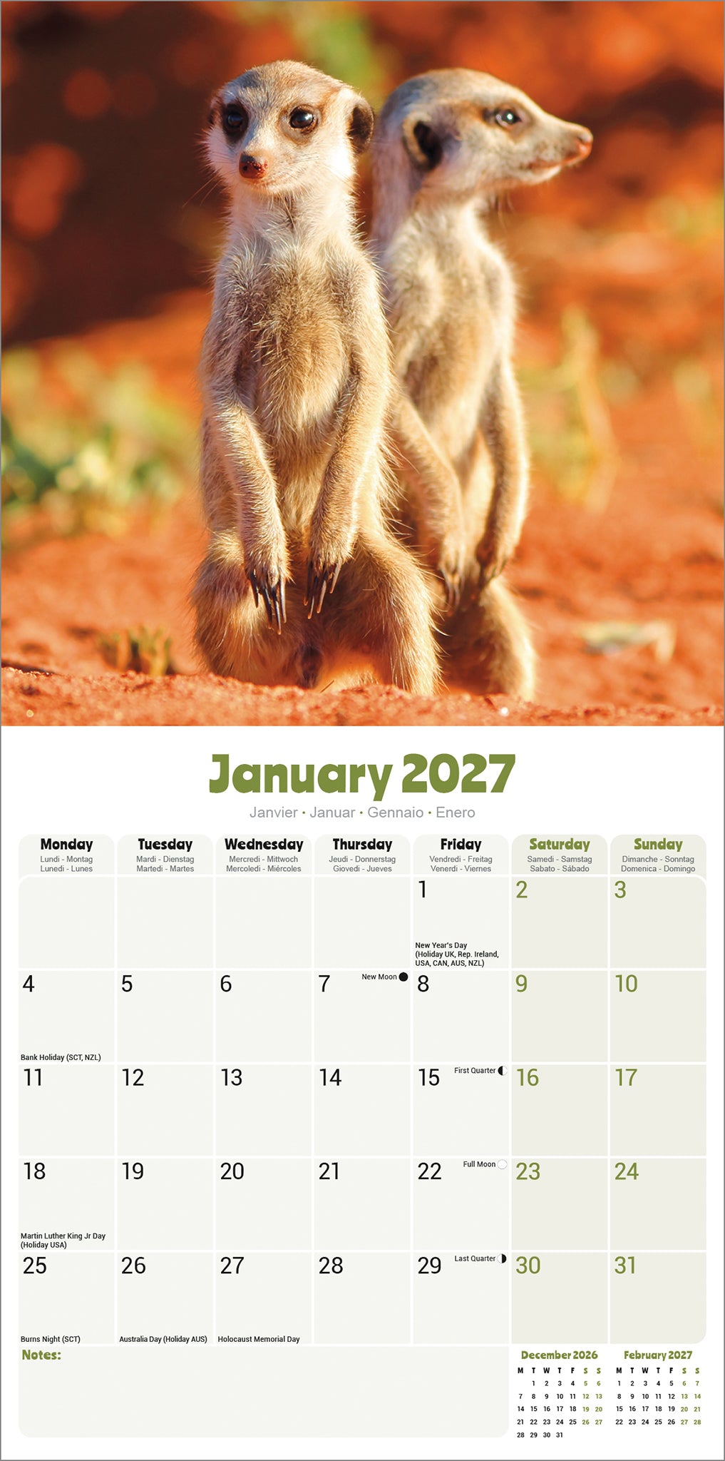 Meerkats Wall Calendar 2027