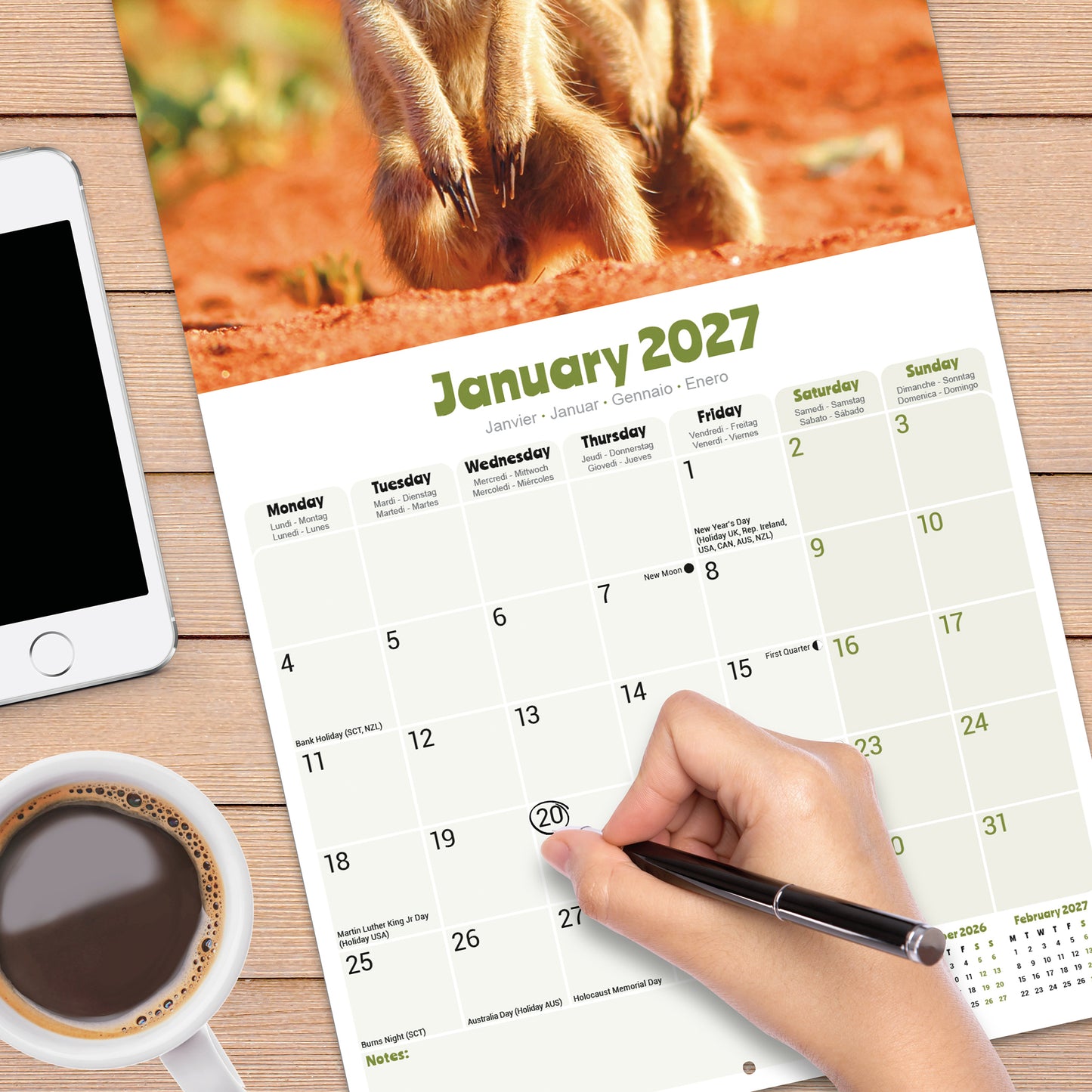 Meerkats Wall Calendar 2027