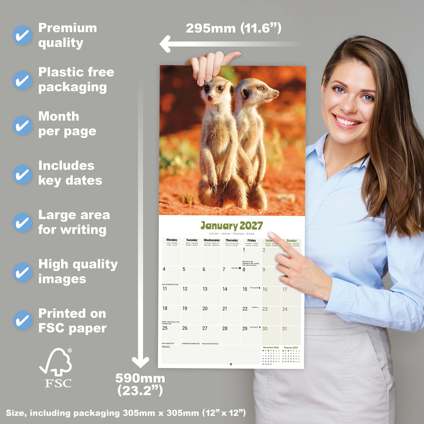 Meerkats Wall Calendar 2027