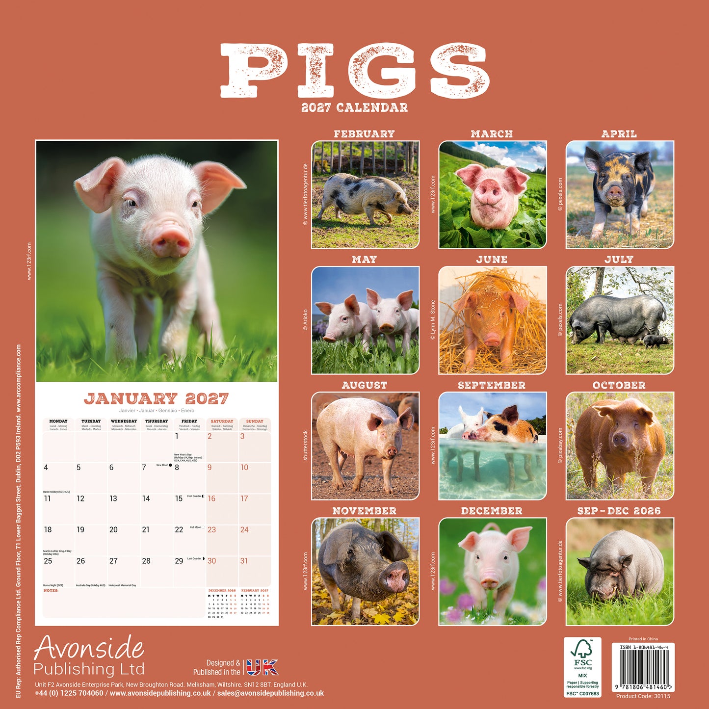 Pigs Wall Calendar 2027