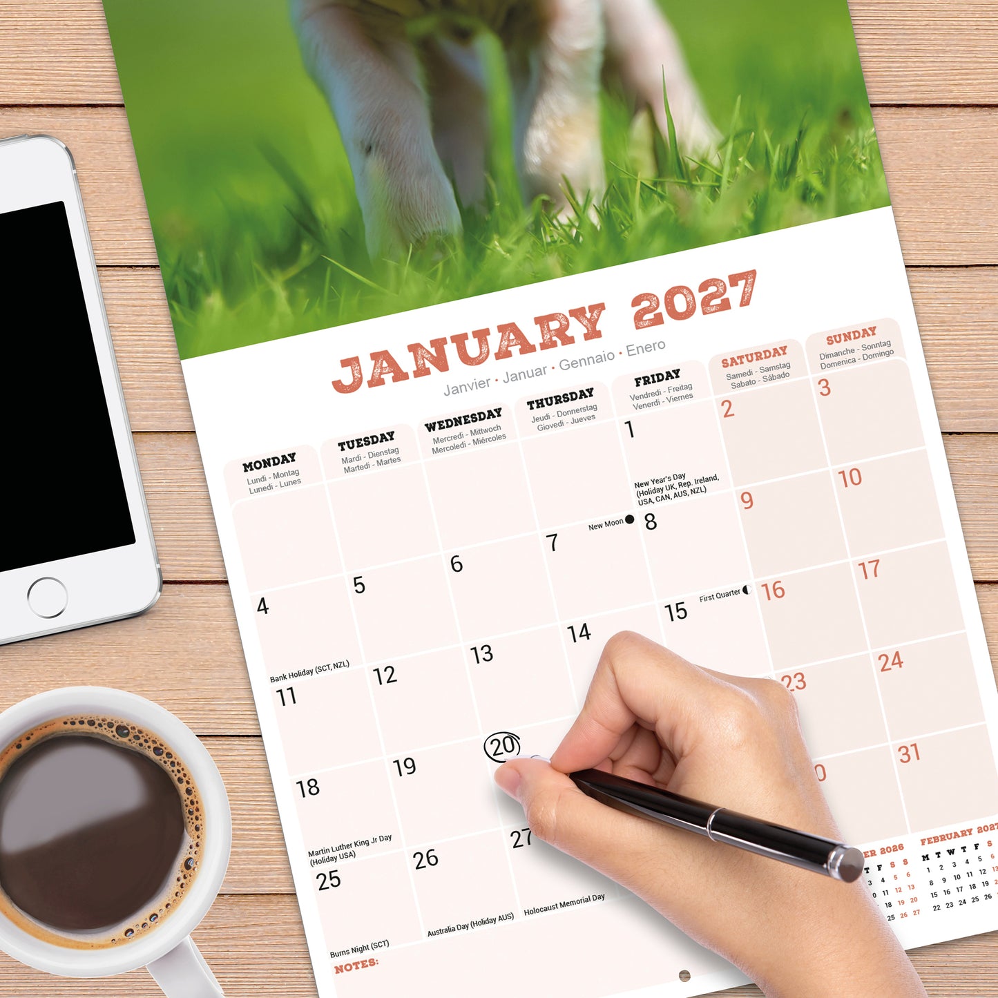 Pigs Wall Calendar 2027