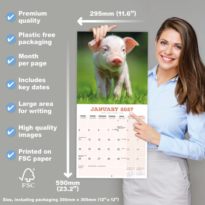 Pigs Wall Calendar 2027